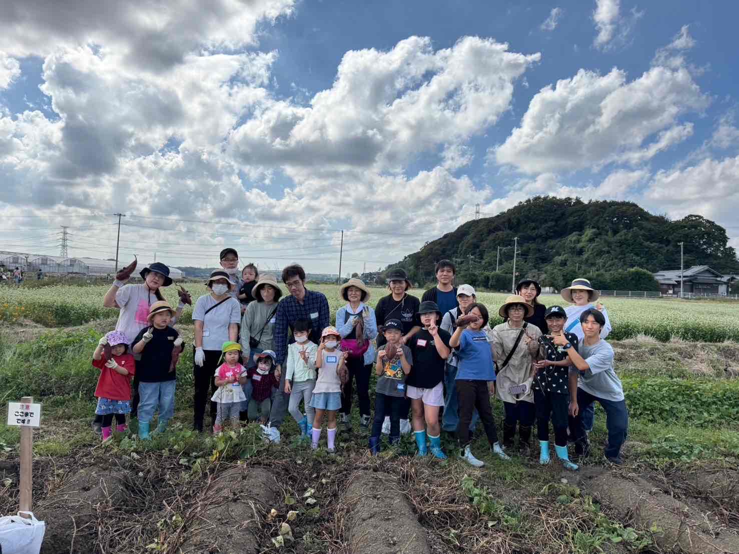 10月14日  サツマイモ堀り