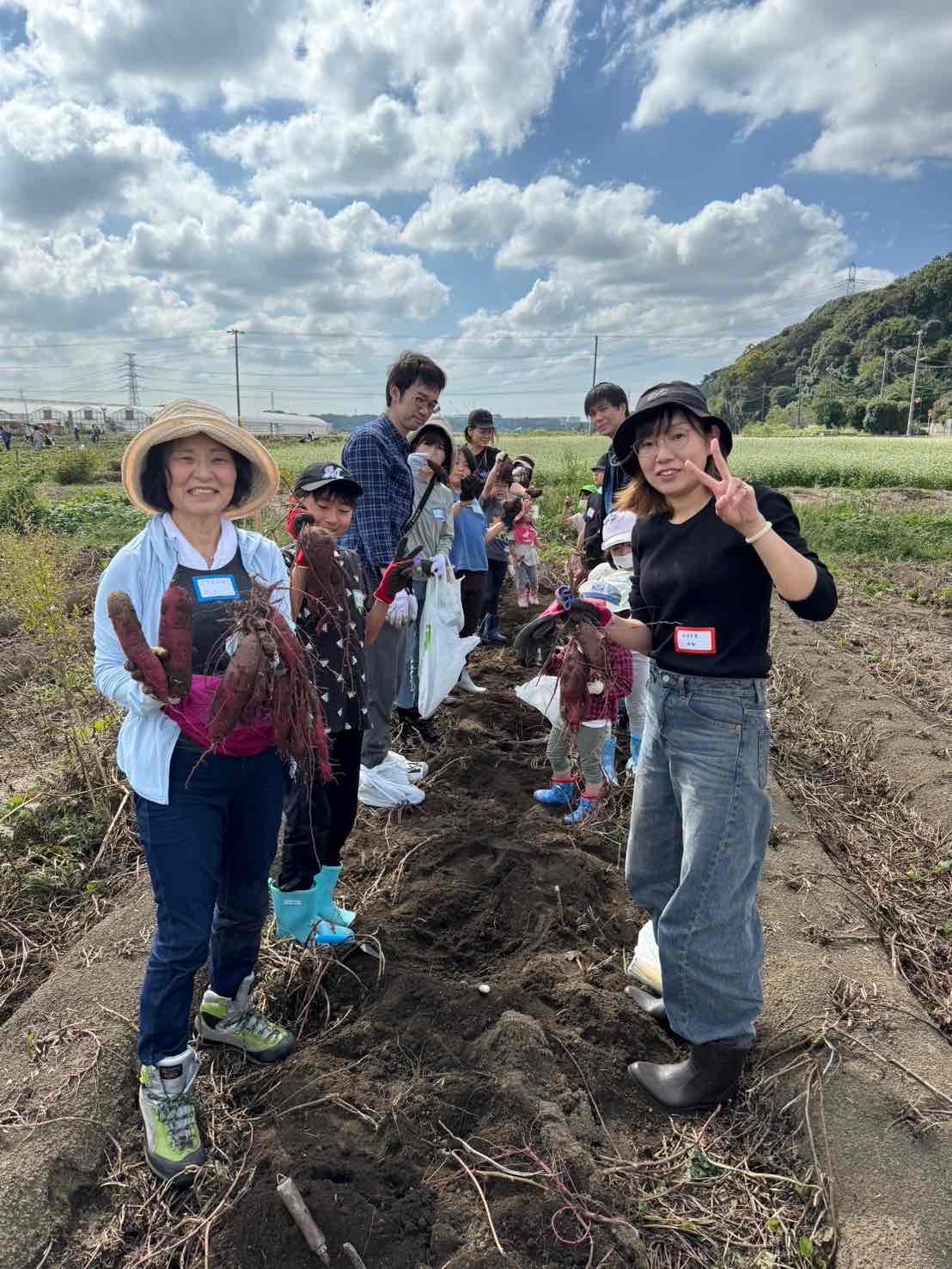 10月14日  サツマイモ堀り